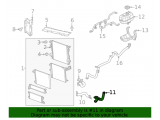 Radiator Outlet Hose