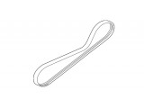 Serpentine Belt